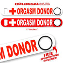 Kolorcoat™ 11" Long COLOSSAL™ Speed Bottle Opener – Orgasm Donor
